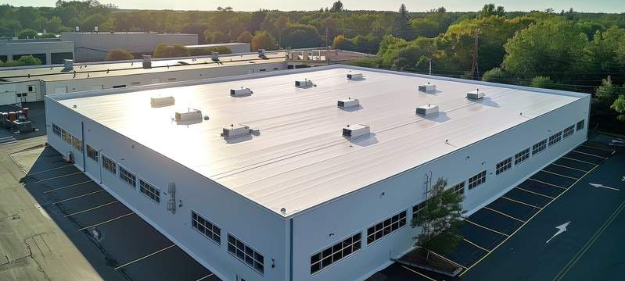 BG 10 - commercial roof