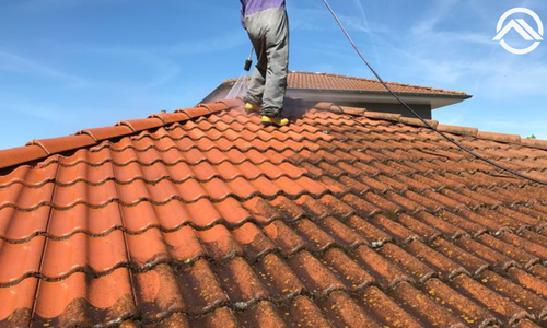 Professional Roof cleaning