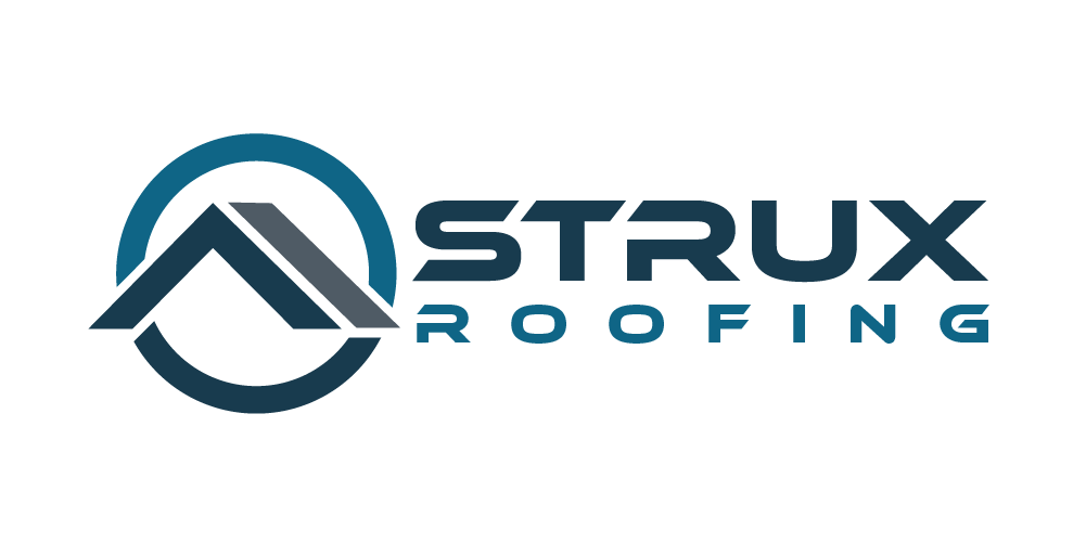 Strux Logo Final