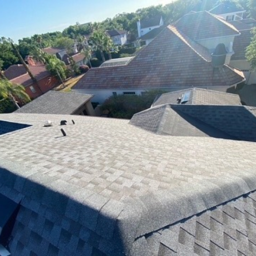 clean shingle roof