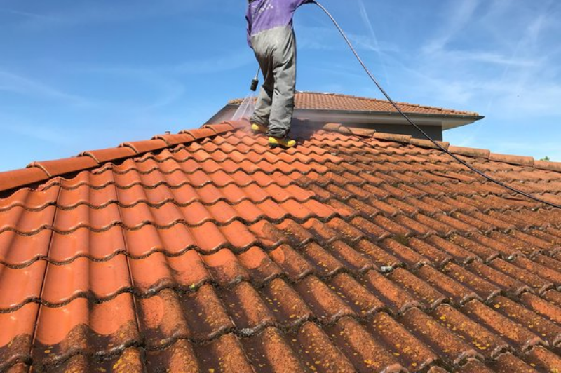roof cleaning